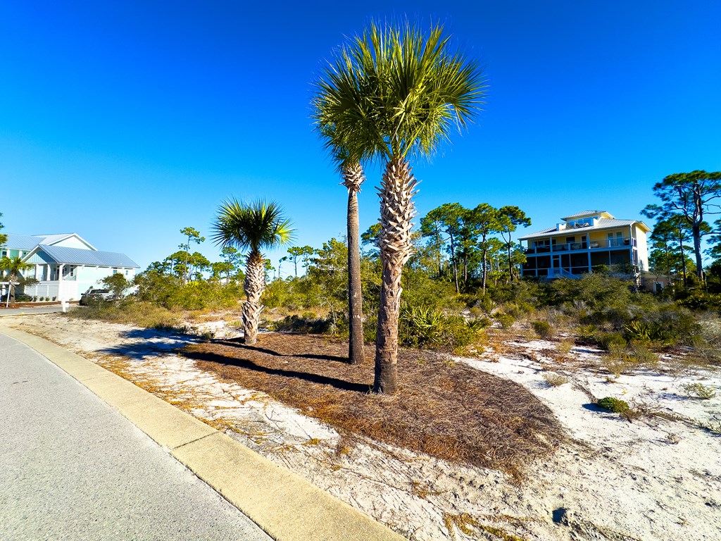 302 Windmark Way, Port St. Joe 32456