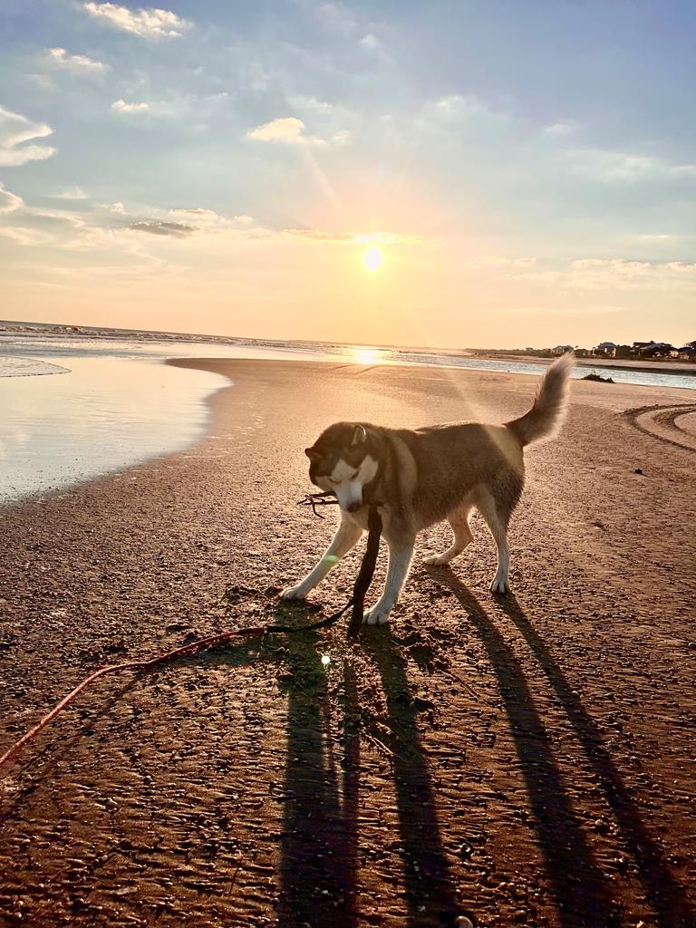 2719 Sr 30-a, Port St. Joe 32456