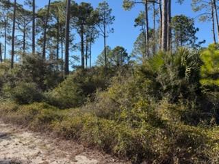 3441 Firefly Cir, 32358