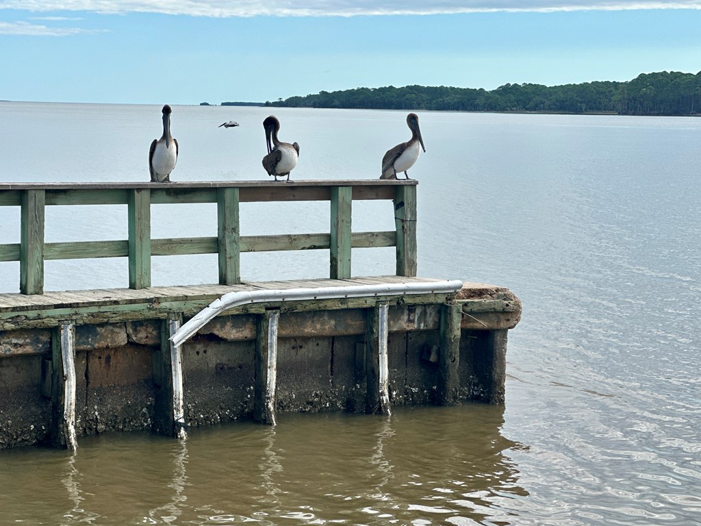 129 Cottage Ln, Port St. Joe 32456