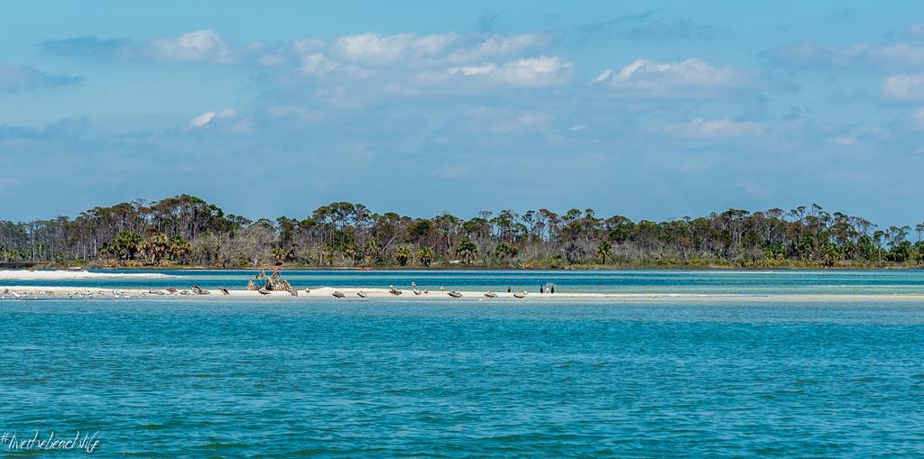 705 Secluded Dunes Dr, Port St. Joe 32456