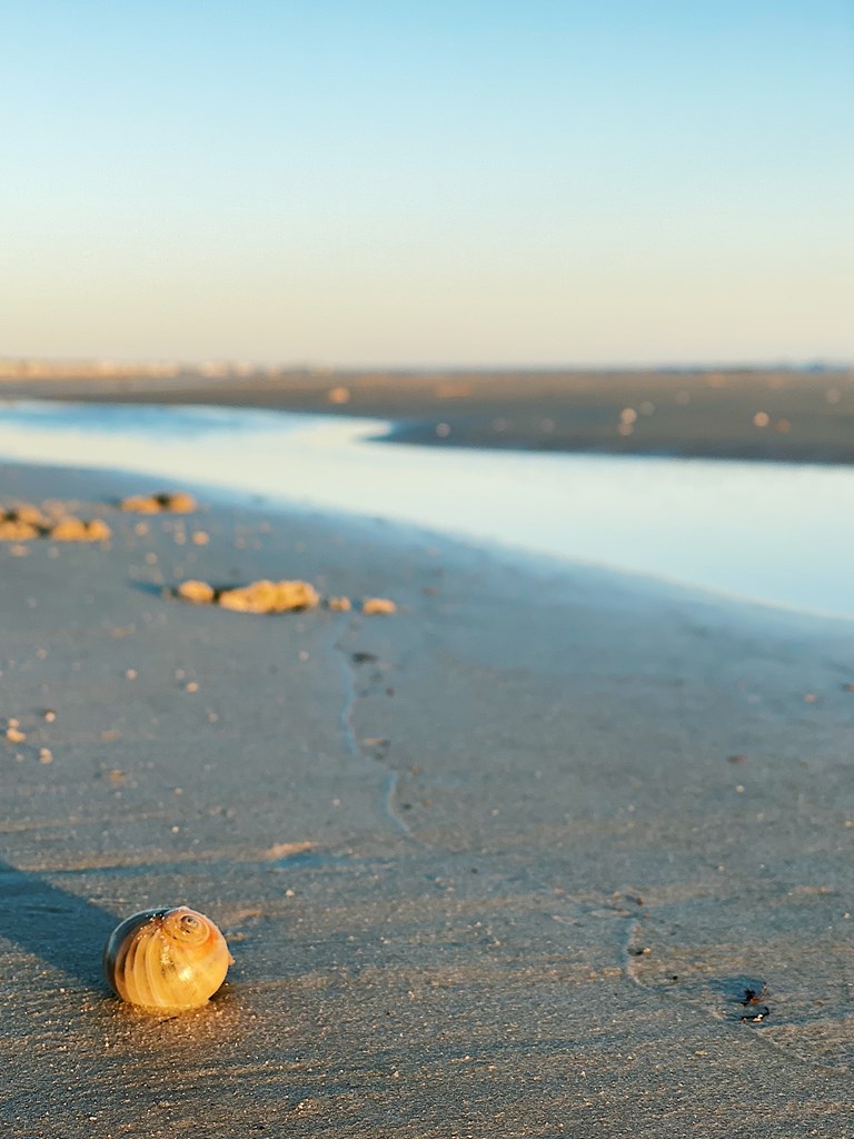 889 Backwater Rd, Port St. Joe 32456