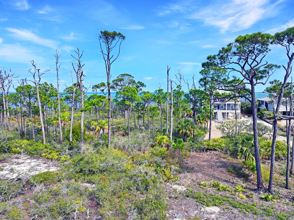 Parcel B Cape San Blas Rd