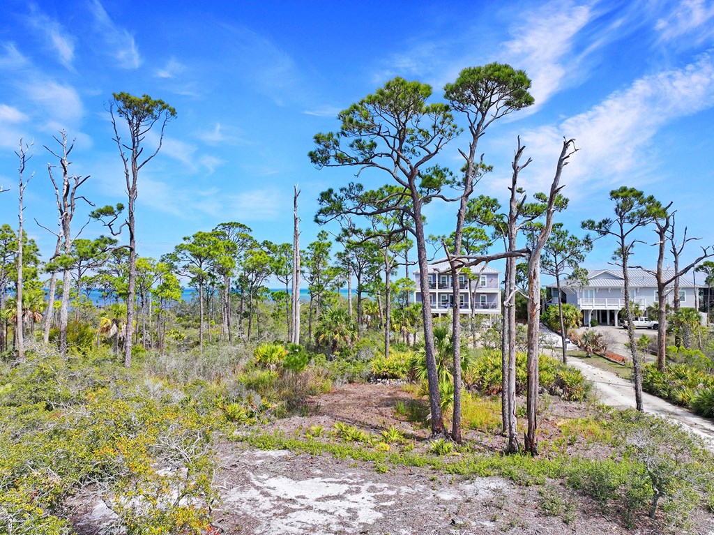 Parcel B Cape San Blas Rd