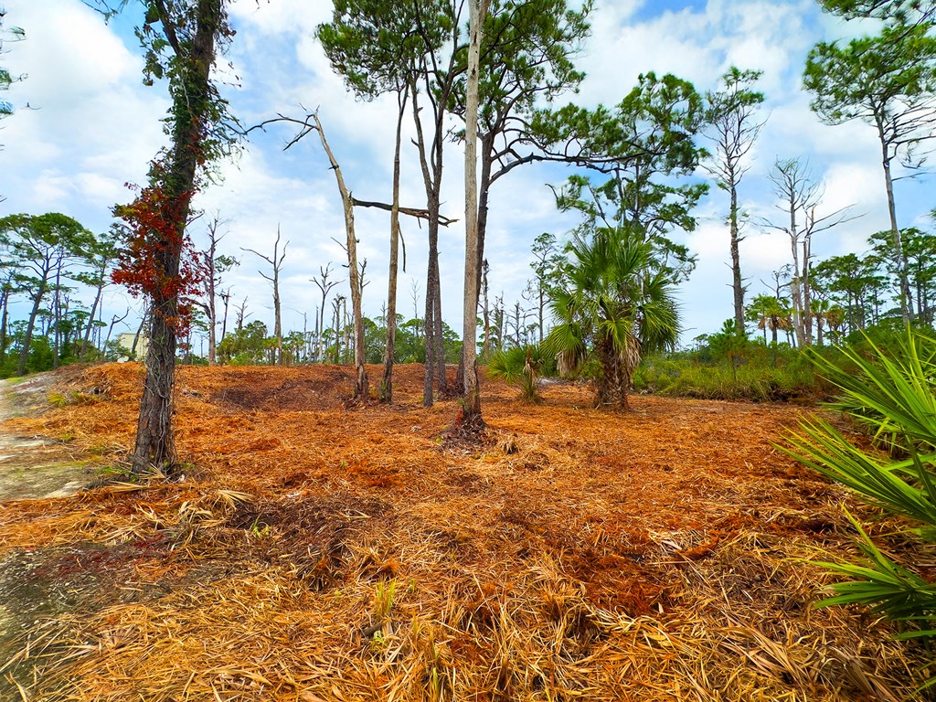 Parcel B Cape San Blas Rd