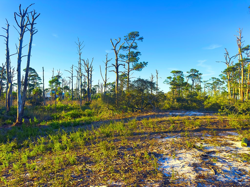 Parcel B Cape San Blas Rd