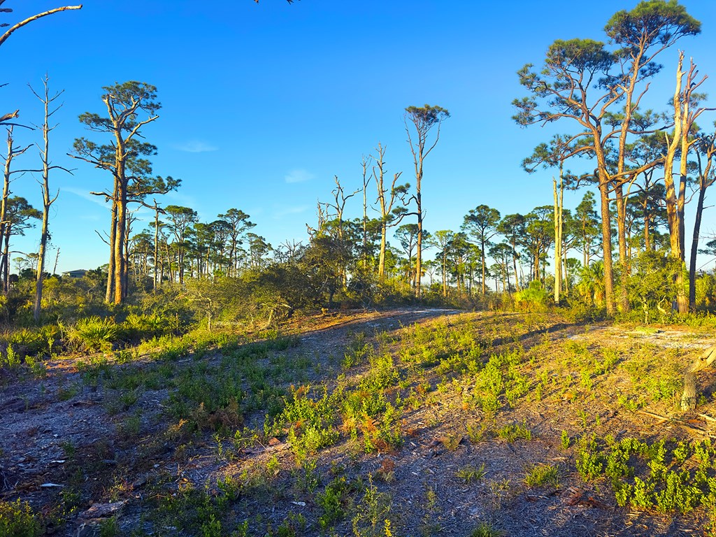 Parcel B Cape San Blas Rd