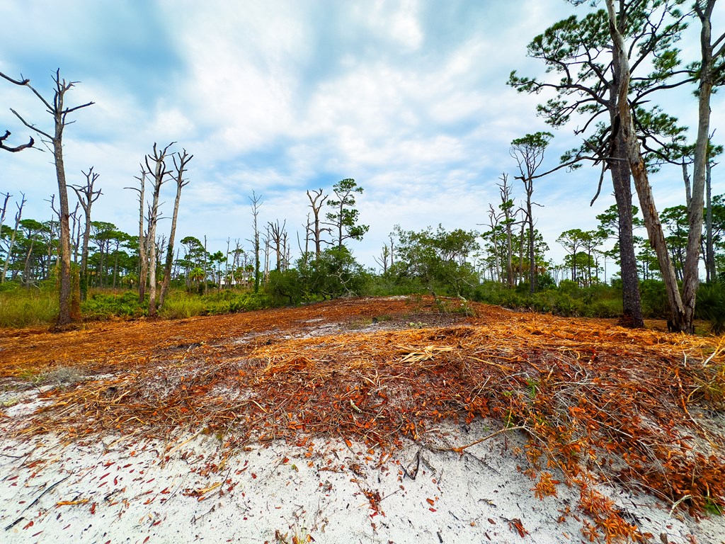 Parcel B Cape San Blas Rd