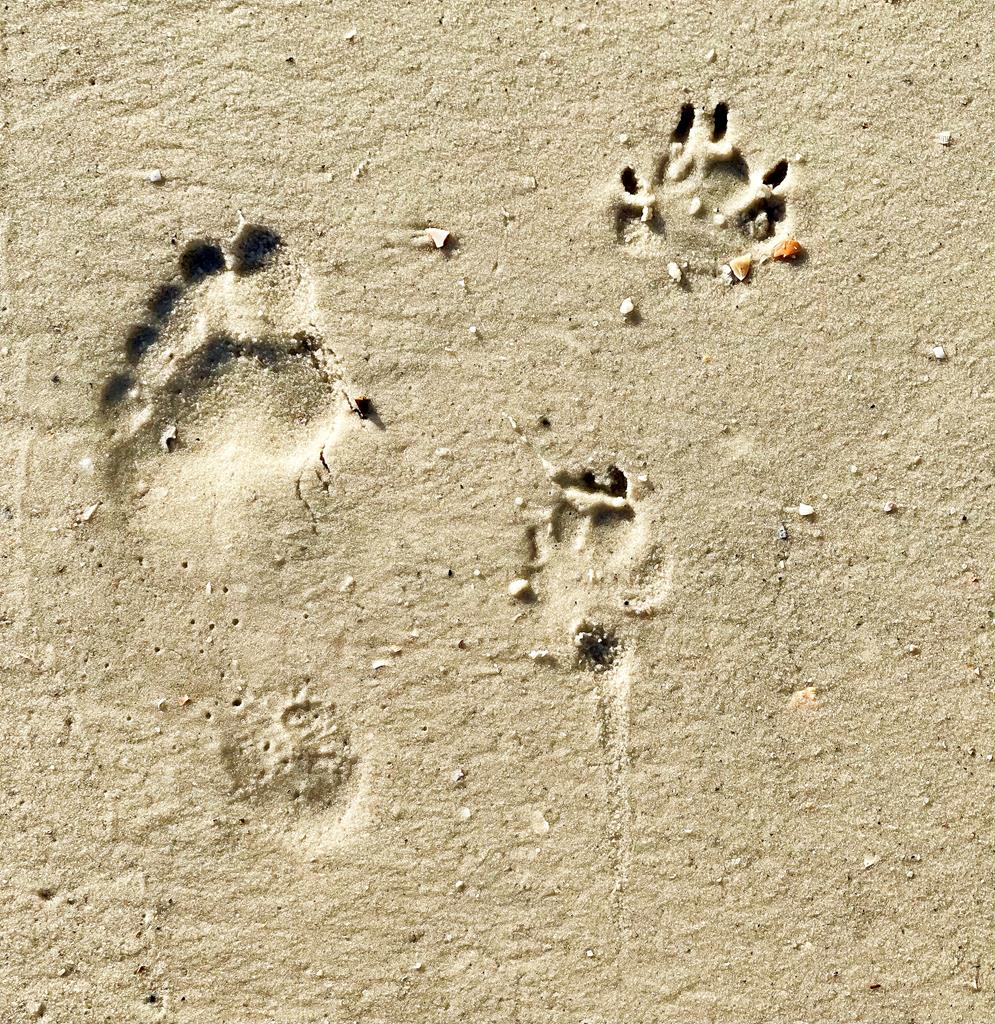 131 Turtle Walk Unit 53, Port St. Joe 32456 Unit: Unit #53