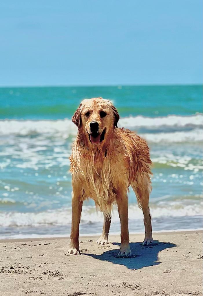 127 Needle Rush Dr, Port St. Joe 32456