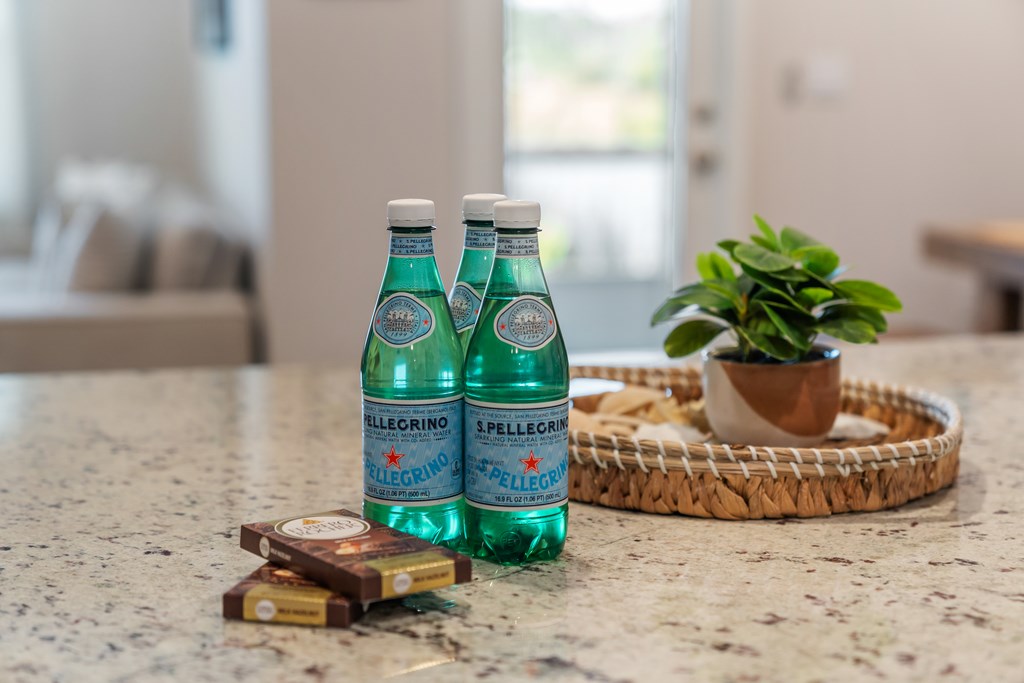 127 Needle Rush Dr, Port St. Joe 32456