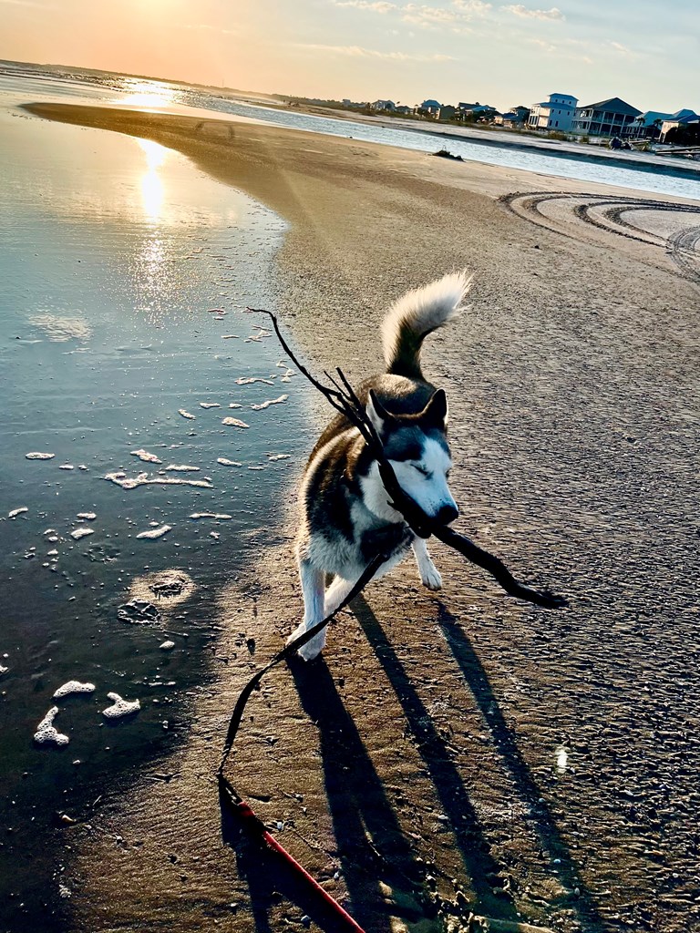 Lot 3 Curve Rd, Port St. Joe 32456