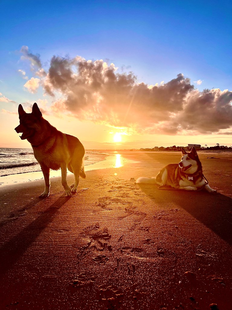 Lot 3 Curve Rd, Port St. Joe 32456