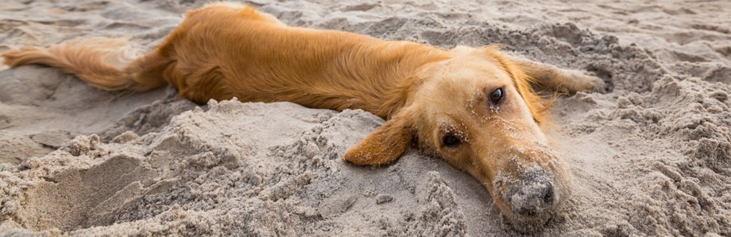 3050 Hwy 98 W # B48, Port St. Joe 32456 Unit: B48