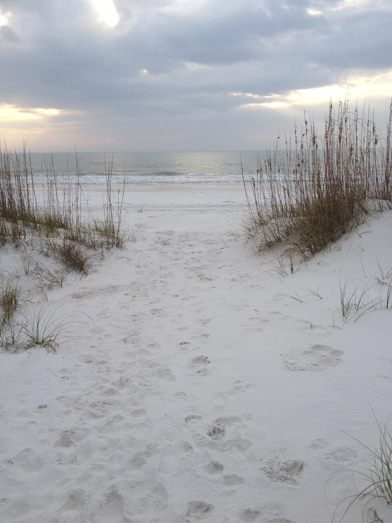 Lot 8 Mercury Ln, 32456