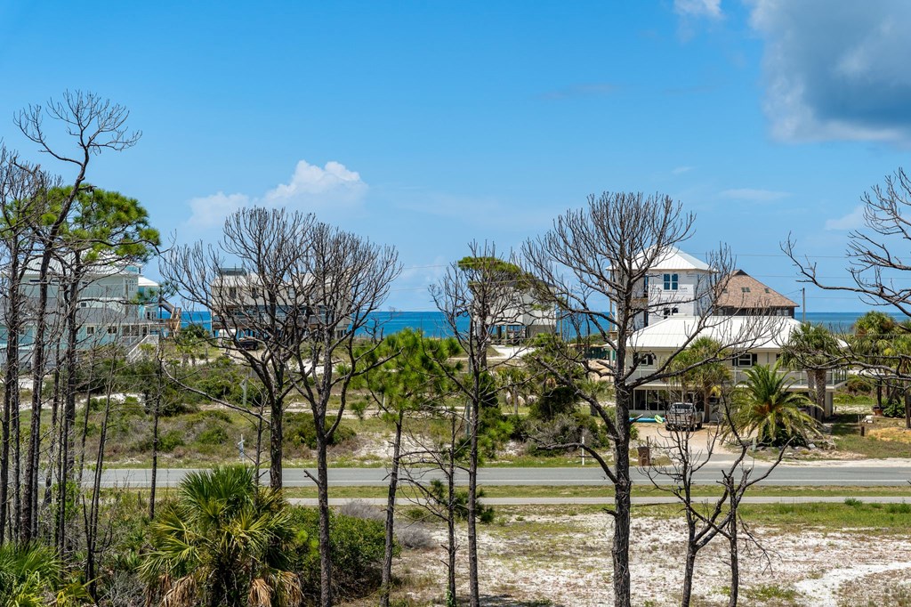 165 Driftwood Ave, 32456