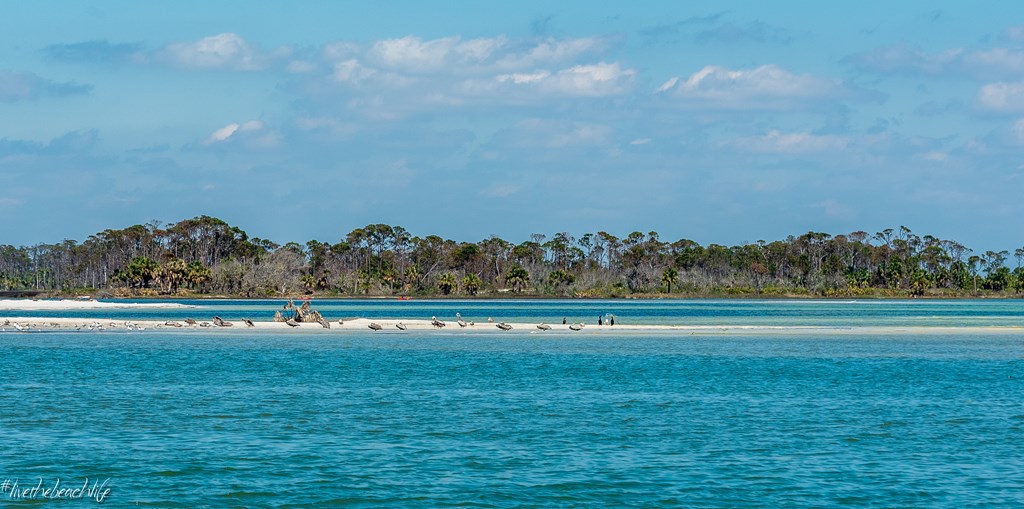 Lot 1 Park Point Cir, Port St. Joe 32456