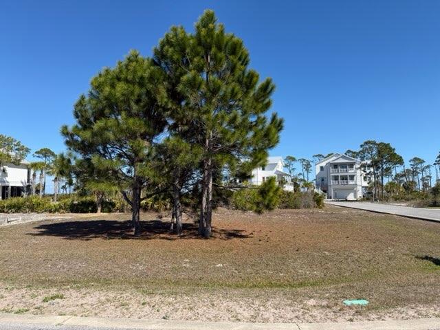 Lot 1 Park Point Cir, Port St. Joe 32456
