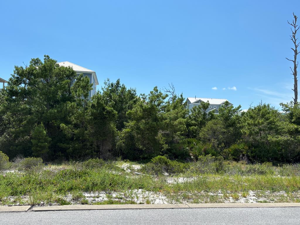 229 Seagrass Cir, 32456