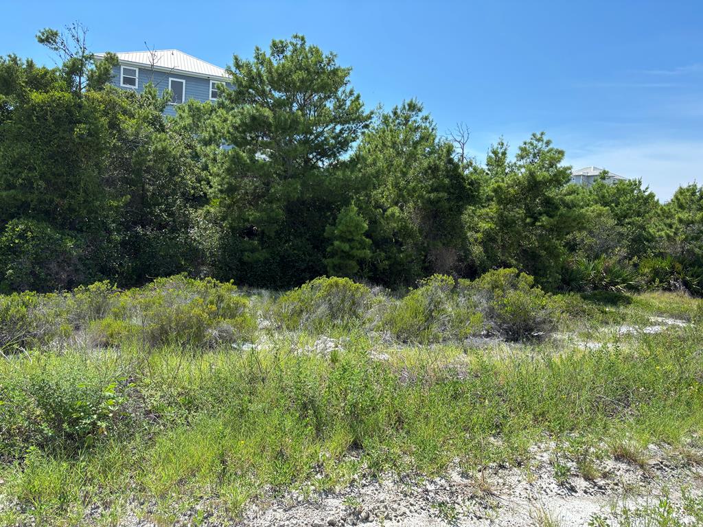 229 Seagrass Cir, 32456