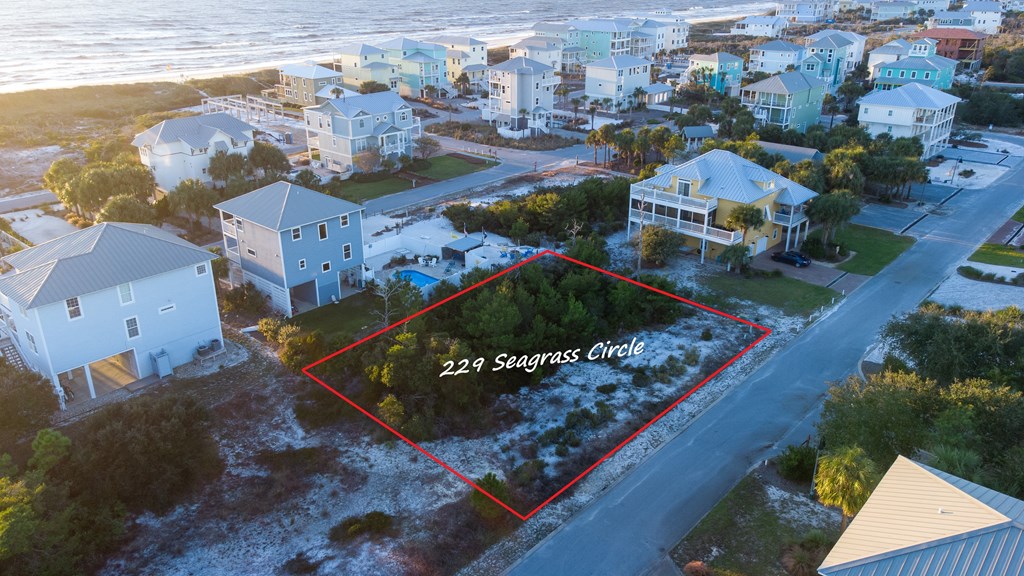 229 Seagrass Cir, 32456