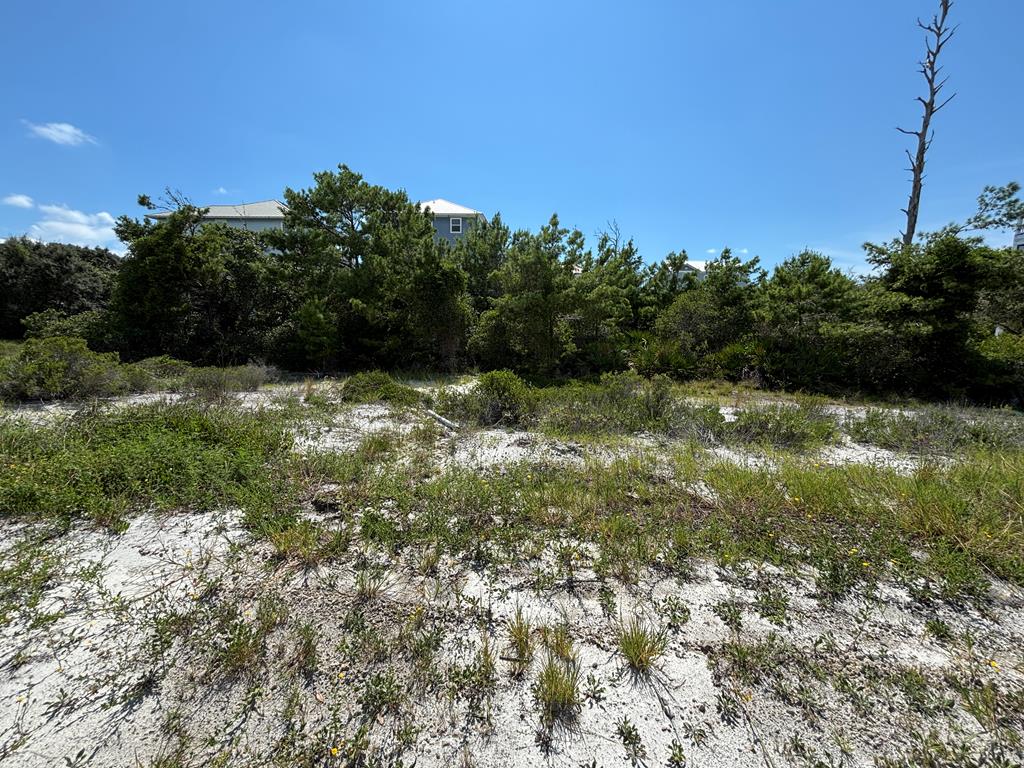 229 Seagrass Cir, 32456