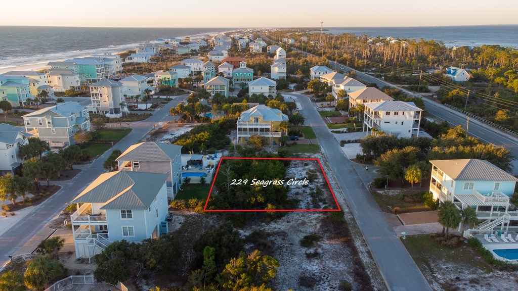 229 Seagrass Cir, 32456
