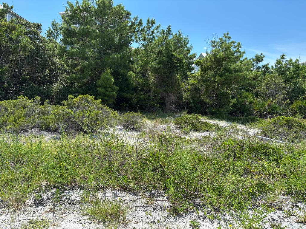 229 Seagrass Cir, 32456