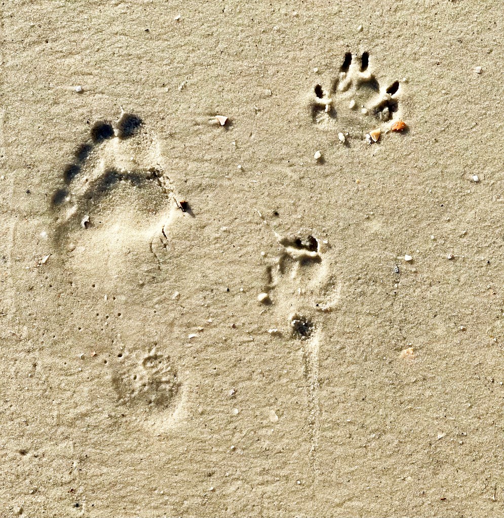 135 Sea Haven Dr, Port St. Joe 32456