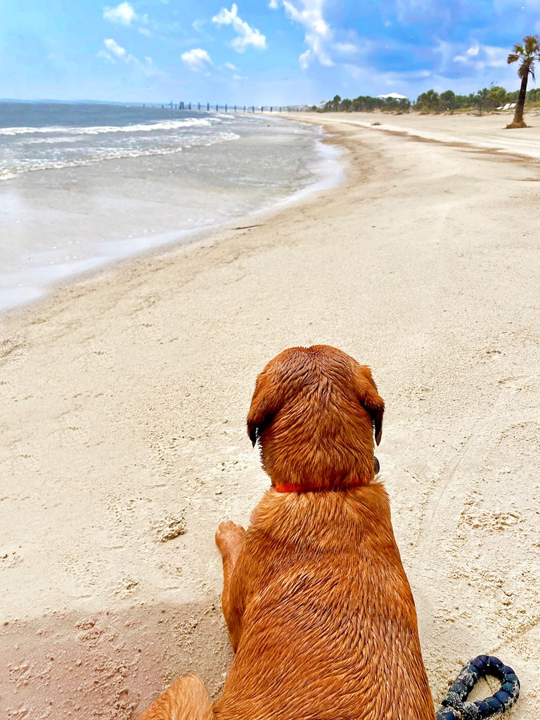 181 S Higgins St, Port St. Joe 32456