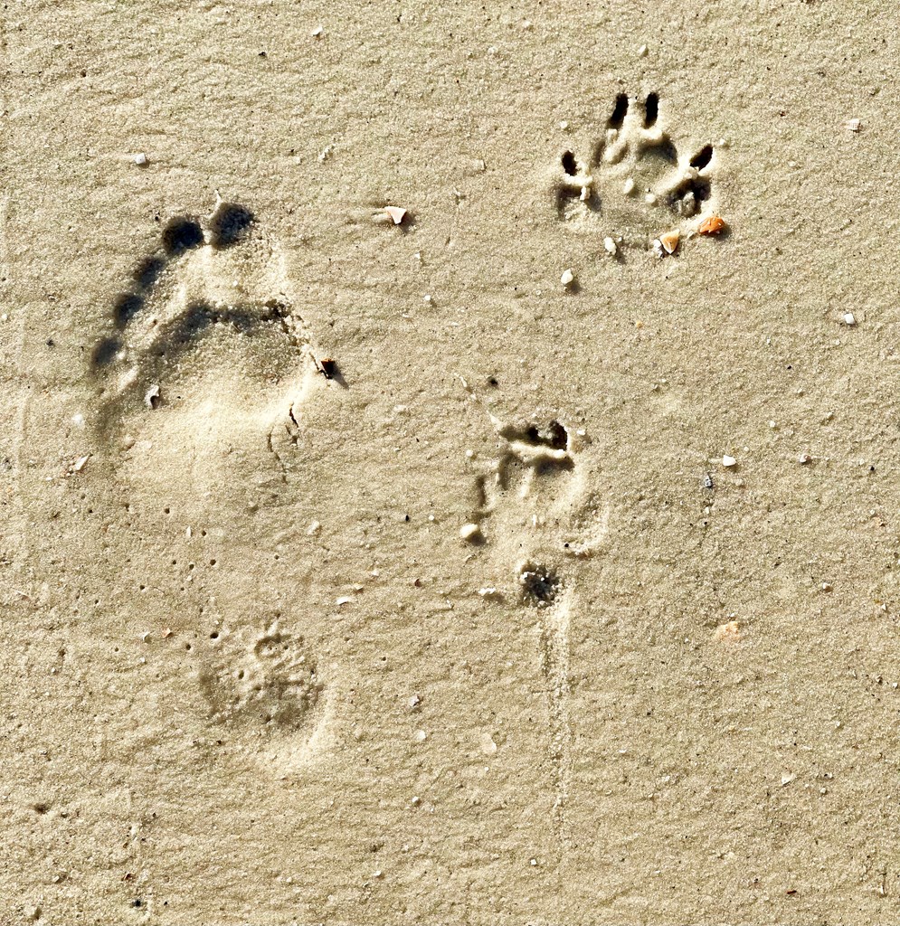 181 S Higgins St, Port St. Joe 32456