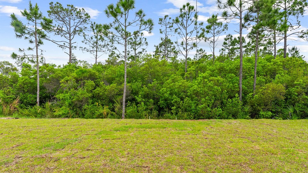 107 Cades Ct, Port St. Joe 32456