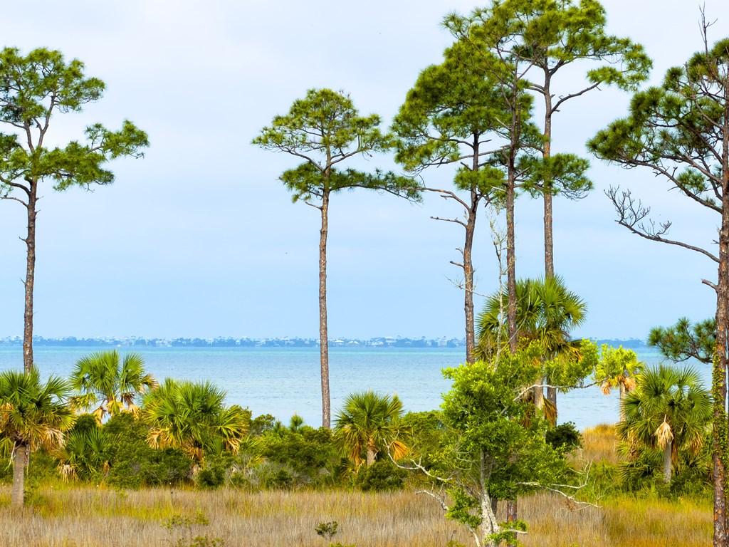2695 Sr 30-a, Port St. Joe 32456