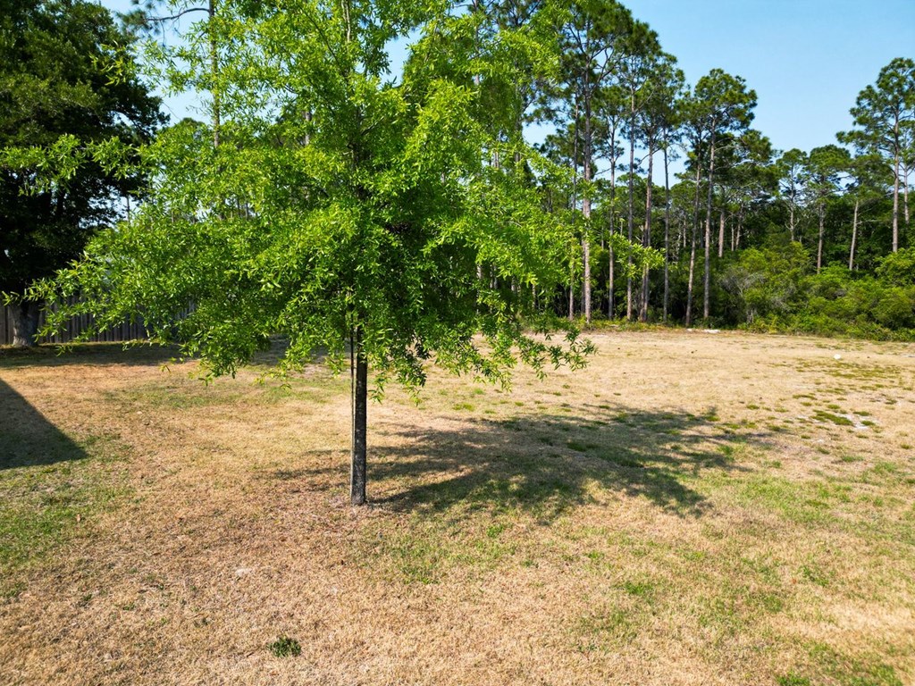 532 Jones Homestead Rd, Port St. Joe 32456