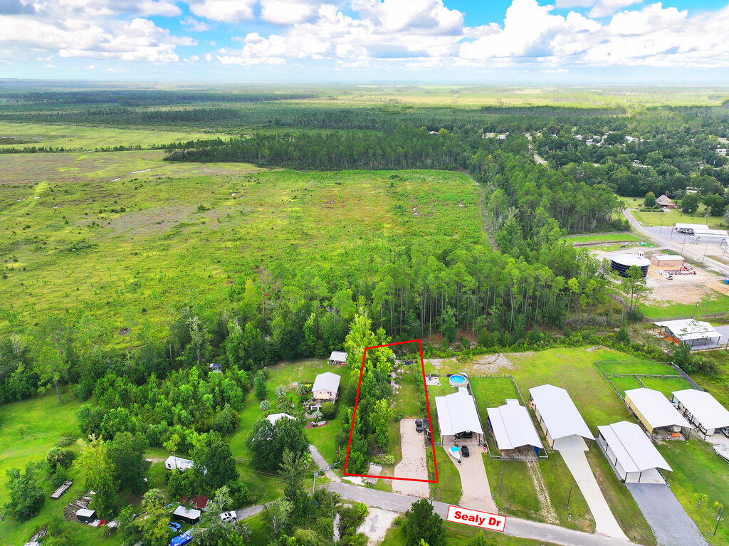 385 Sealy Dr, 32465