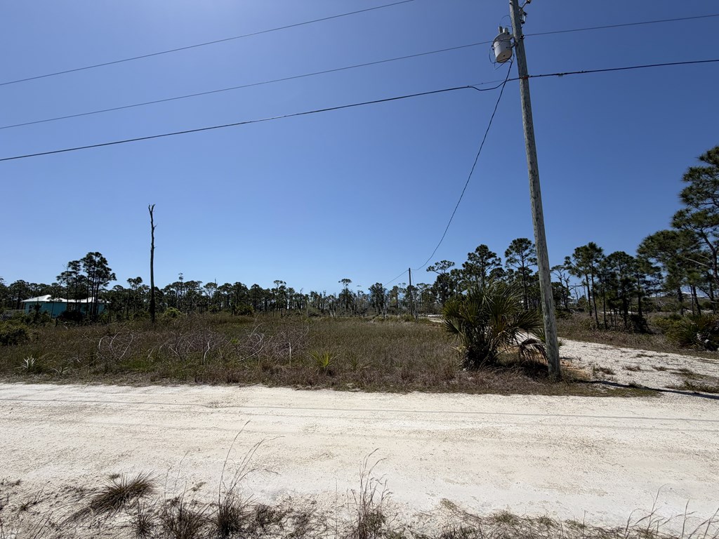 332 Blue Heron Dr, Port St. Joe 32456
