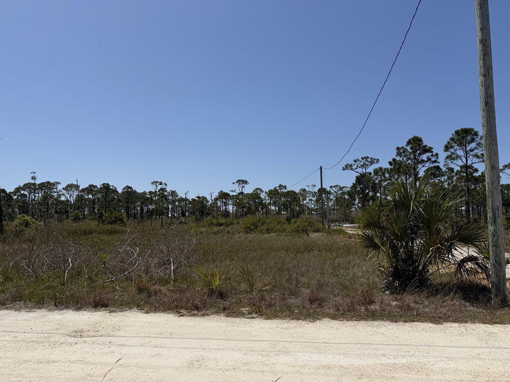 332 Blue Heron Dr, Port St. Joe 32456