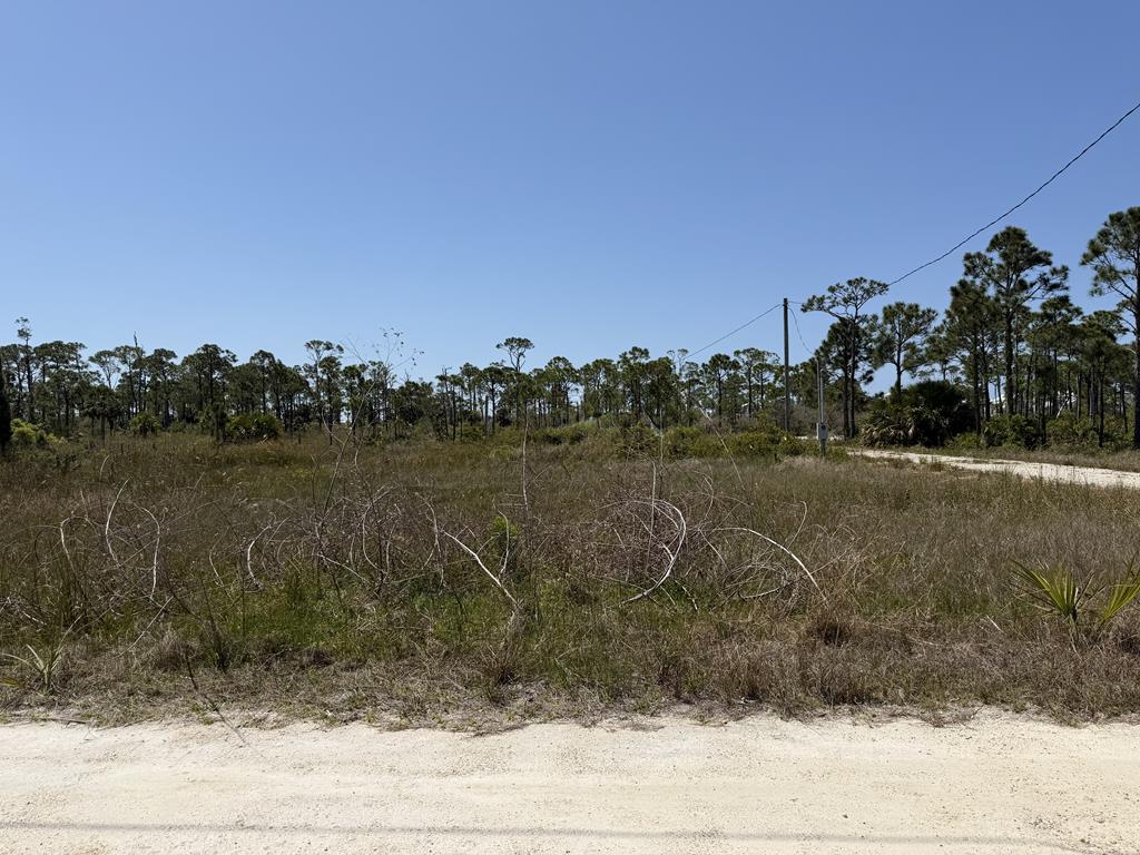 332 Blue Heron Dr, Port St. Joe 32456