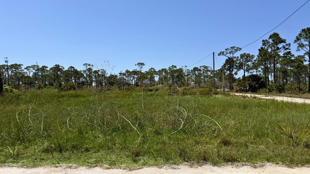 332 Blue Heron Dr, Port St. Joe 32456