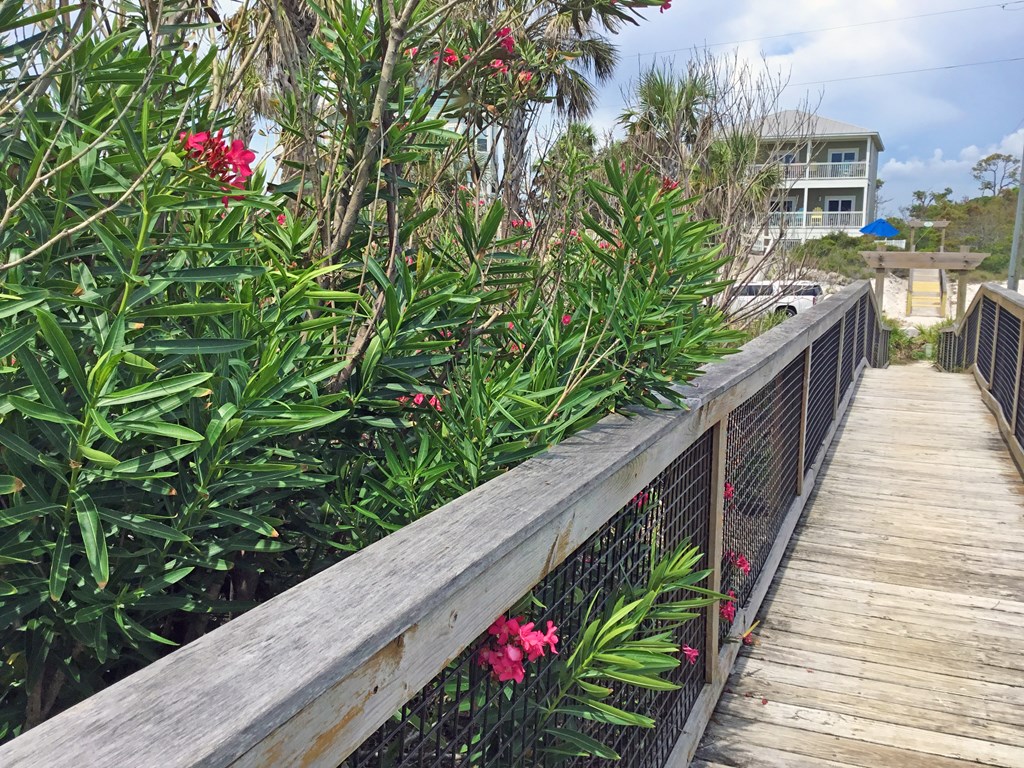 146 Haven Rd, Port St. Joe 32456