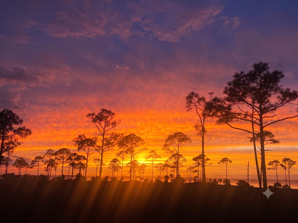2579 Sr 30-a, Port St. Joe 32456