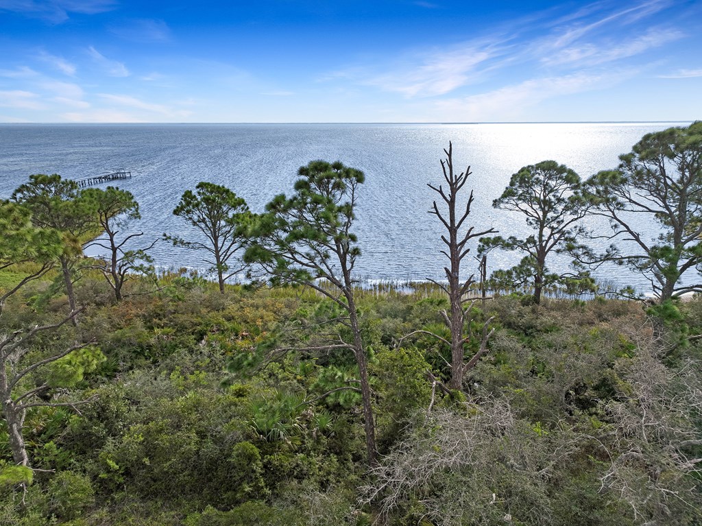 124 Pinnacle Dr, Port St. Joe 32456