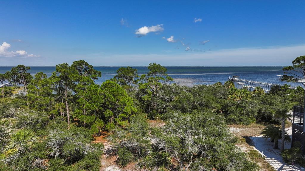 124 Pinnacle Dr, Port St. Joe 32456