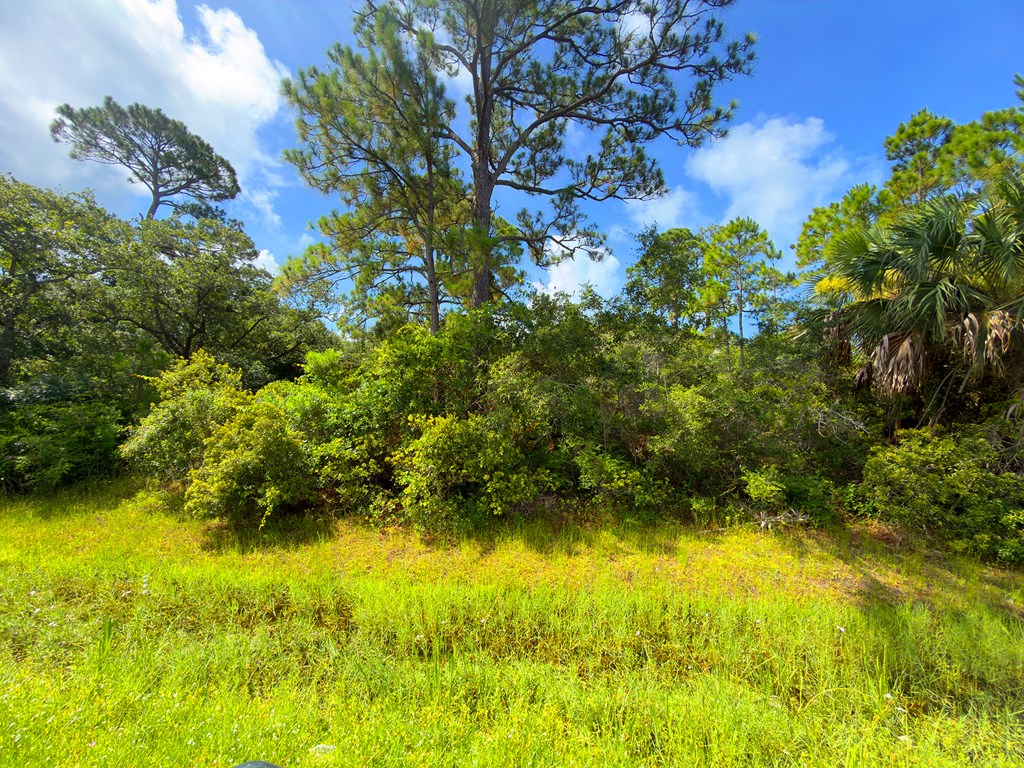 Lot 2 Cape San Blas Rd