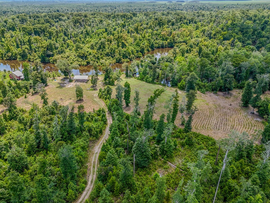 12730 Sw Cr 275, 32424