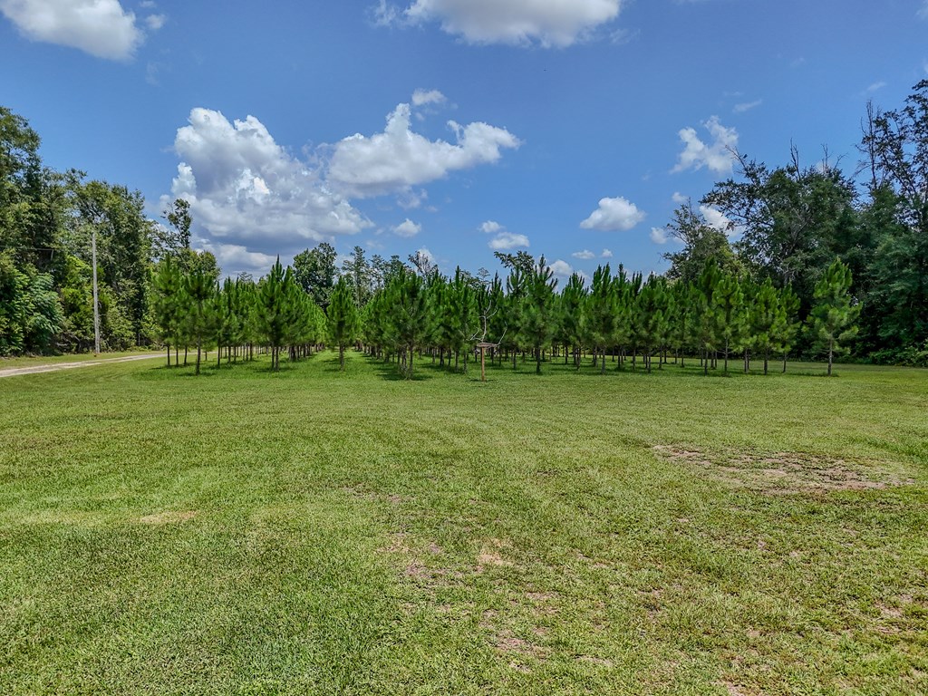 12730 Sw Cr 275, 32424