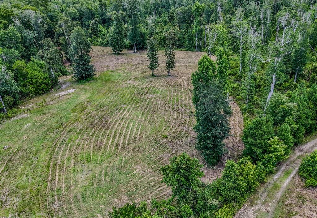 12730 Sw Cr 275, 32424