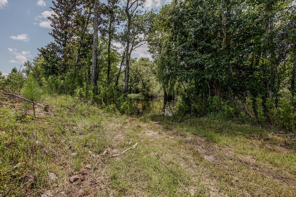 12730 Sw Cr 275, 32424