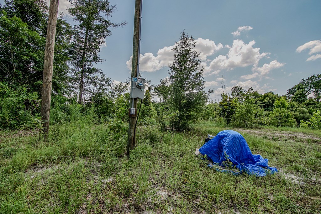 12730 Sw Cr 275, 32424