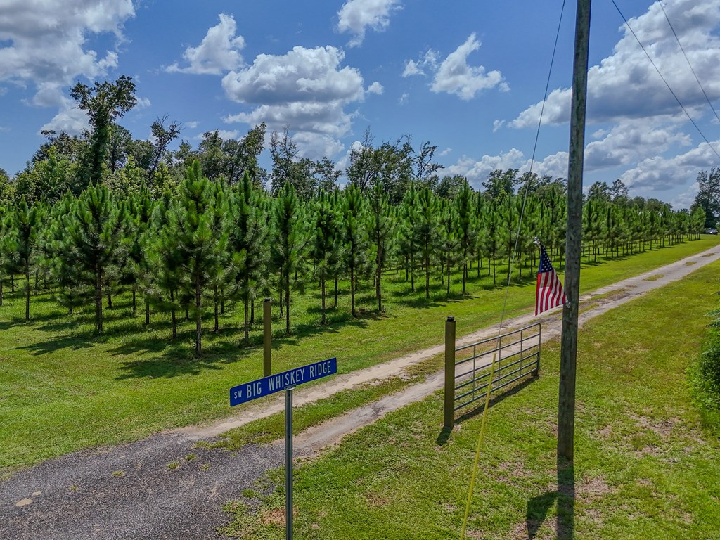 12730 Sw Cr 275, 32424
